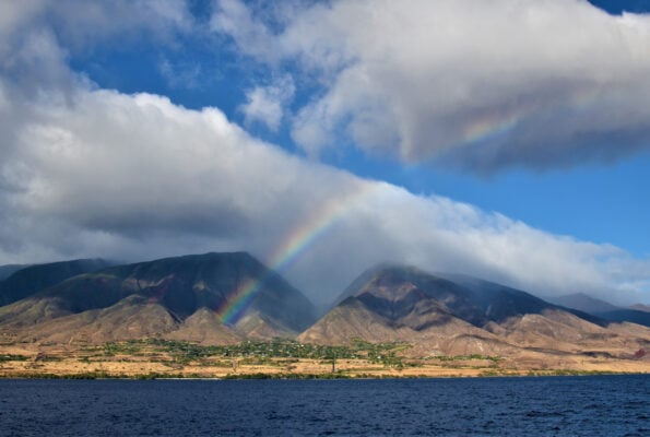 For Our Neighbors: Island Insurance’s Part in the Maui Wildfire Settlement 