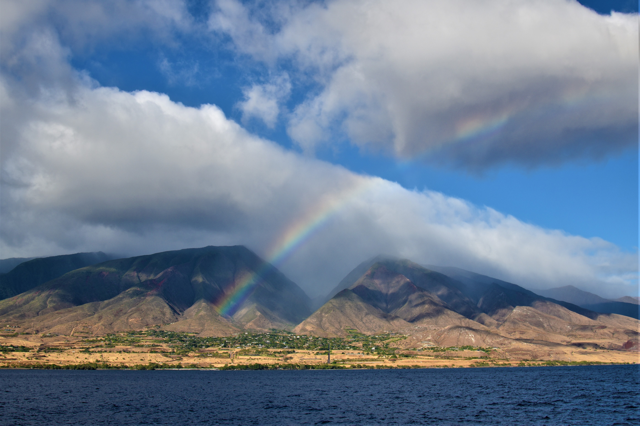 For Our Neighbors: Island Insurance’s Part in the Maui Wildfire Settlement